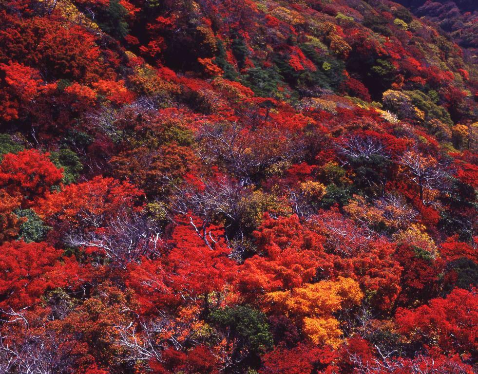 Yumoto Hotel Unzen Esterno foto